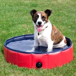 Faltbarer Haustier-Badepool - Tragbarer Hunde- und Katzenpool