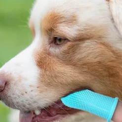 Fingerzahnbürste für Haustiere – Zahnpflegewerkzeug für Hunde und Katzen