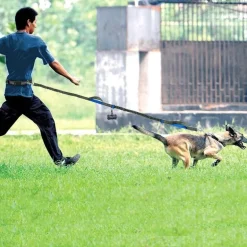 Freihändige Hundeleine – Elastische Taillen-Leine für Haustierbesitzer