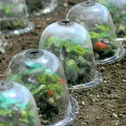 Frostschutzabdeckung für den Wintergarten – transparenter Pflanzenschutz