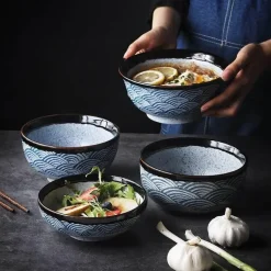 Fuji Porzellan-Geschirrset – Elegantes Geschirrset