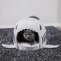 Gemütliches Hai-Haustierhaus – Lebensraum für kleine Haie im Aquarium