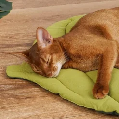 Gemütliches Katzenbett – Bequemes Haustierbett in Blattform für Katzen