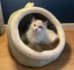 Gemütliches, waschbares Haustierhaus – weiches Innenbett für Hunde und Katzen