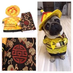 Golden King Hundekostüm - Fantasy Haustier Cosplay Outfit