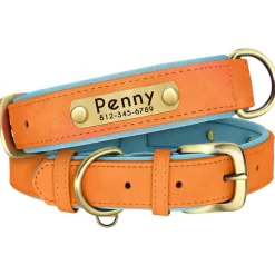 GPS-Haustier-Tracker – Verstellbares Smart-Halsband für Hunde und Katzen