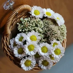 Handgefertigter Yama-Korb – stilvolle gewebte Aufbewahrungslösung