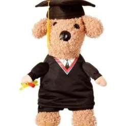 Haustier-Professor-Kostüm – Süßes Tierlehrer-Outfit