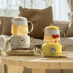 Health Cup Glas Wasserkocher Anti-Dry Schnellkochtopf Health Pot