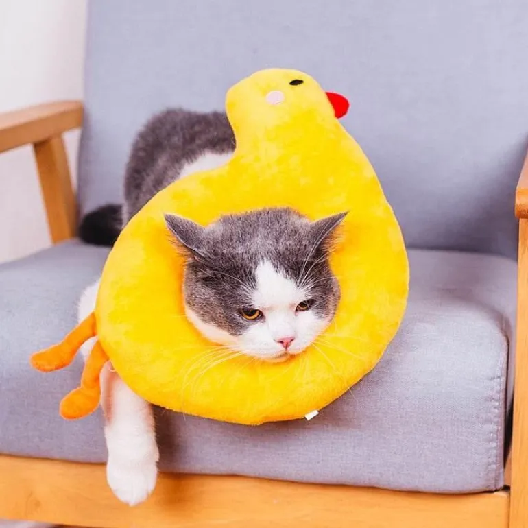 Heilendes Haustierhalsband – Weicher Genesungskegel für Hunde und Katzen