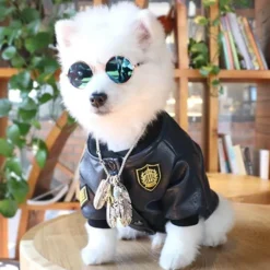 Hundejacke aus Leder – Stilvoller warmer Haustiermantel