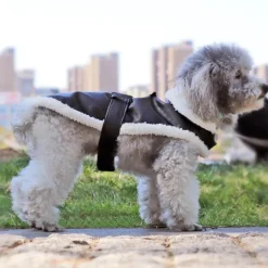 Hundemantel aus Leder – Stilvolle Haustierjacke