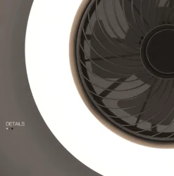 Intelligente Deckenleuchte – Leiser Luftventilator mit unsichtbaren Flügeln