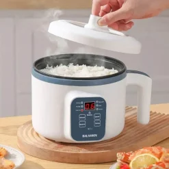 Intelligenter elektrischer Reiskocher – Automatisches Kochen zu Hause mit zwei Schichten leicht gemacht