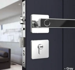 Intelligentes Türschloss mit Fingerabdruck – Biometrisches schlüsselloses Zugangsschloss