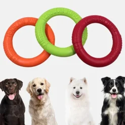 Interaktive Hunde-Frisbee - Lustiges Outdoor-Spielzeug für Haustiere