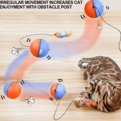Interaktiver Katzenspielzeugball – Automatisches Laufspielzeug für Katzen