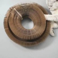 Interaktiver Katzenspielzeugball – spannender Spaß für aktive Katzen