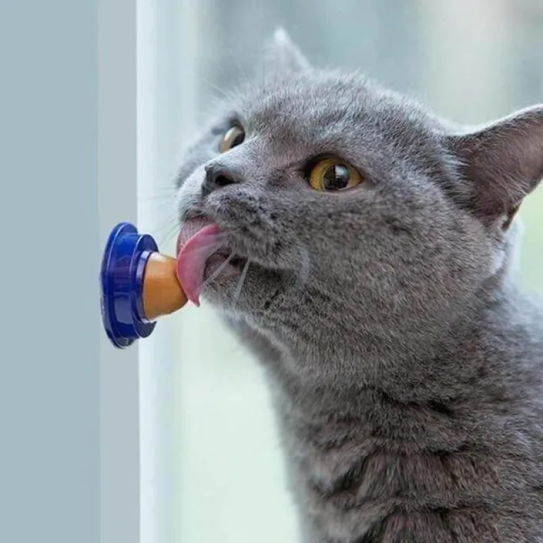 Interaktiver Leckerli-Spender für Katzen – Leckwerkzeug für Katzen