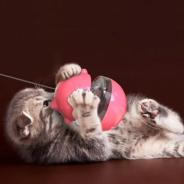 Interaktiver Leckerli-Spender für Katzenspielzeug für spannenden Spielspaß