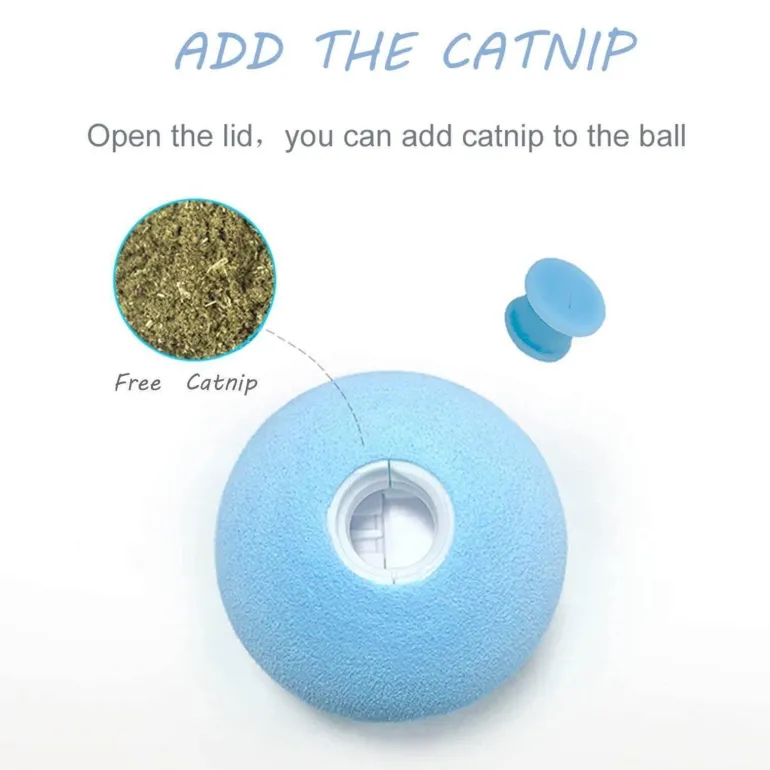 Interaktiver Soundball für das Hundetraining – spannendes Haustierspielzeug