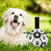 Interaktiver Trainingsball für Haustiere – Intelligentes Hundespielzeug für Katzen und Hunde