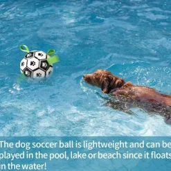 Interaktiver Trainingsball für Haustiere – Intelligentes Hundespielzeug für Katzen und Hunde