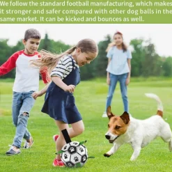 Interaktiver Trainingsball für Haustiere – Intelligentes Hundespielzeug für Katzen und Hunde