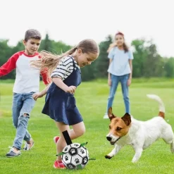 Interaktiver Trainingsball für Haustiere – Intelligentes Hundespielzeug für Katzen und Hunde