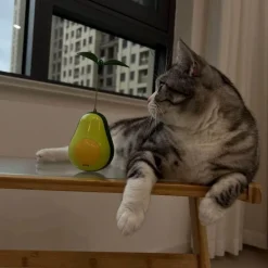 Interaktives Avocado-Wackler-Katzenspielzeug – Spannender 3-in-1-Spaß für Ihren Stubentiger