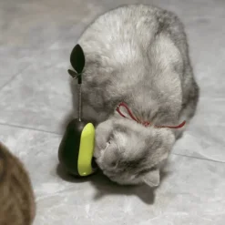 Interaktives Avocado-Wackler-Katzenspielzeug – Spannender 3-in-1-Spaß für Ihren Stubentiger