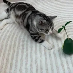 Interaktives Avocado-Wackler-Katzenspielzeug – Spannender 3-in-1-Spaß für Ihren Stubentiger