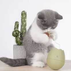 Interaktives Eierschalen-Katzenspielzeug für spannendes Spielen