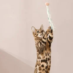 Interaktives einziehbares Katzenspielzeug – spannender Spaß für Ihren Stubentiger