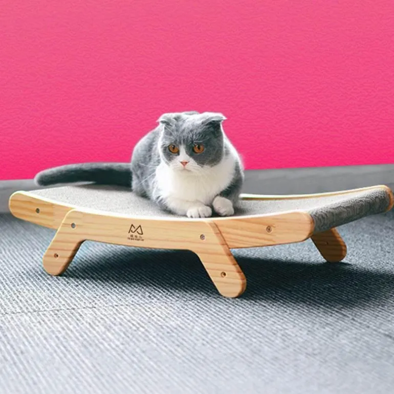 Interaktives Katzenkratzbett – Verspielte Lounge für Katzen