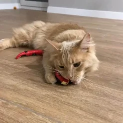 Interaktives Katzenspielzeug mit intelligentem Sensor – Spannendes Schlangenspielzeug für Katzenspaß