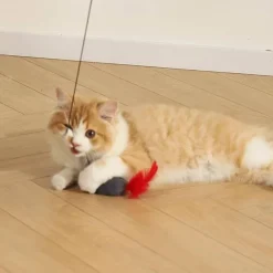 Interaktives Katzenspielzeug für spannendes Spielen. Stimulieren Sie die Neugier Ihrer Katze.
