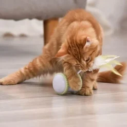 Interaktives Katzenspielzeug – Spannendes Miau-Spiel für spaßige Spielstunden