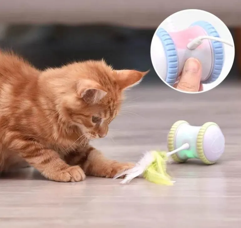 Interaktives Katzenspielzeug – Spannendes Miau-Spiel für spaßige Spielstunden