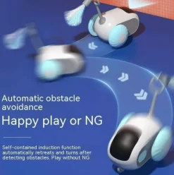 Interaktives Katzenspielzeug – Spannendes Verfolgungsspiel für Katzen