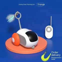 Interaktives Katzenspielzeug – Spannendes Verfolgungsspiel für Katzen