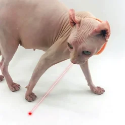 Interaktives Laserpointer-Katzenspielzeug – lustige Taschenlampe für Haustiere