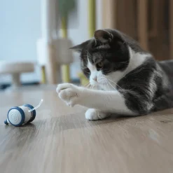 Interaktives Pixie-Maus-Spielzeug – lustiger und verspielter Begleiter für Kinderabenteuer