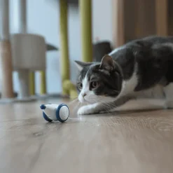 Interaktives Pixie-Maus-Spielzeug – lustiger und verspielter Begleiter für Kinderabenteuer