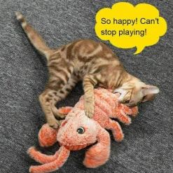 Interaktives Plüsch-Hummer-Katzenspielzeug – Schlabberspielzeug für Haustiere