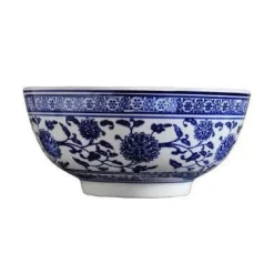 Japanische blau-weiße Nudelschüssel aus Keramik – elegantes Geschirr