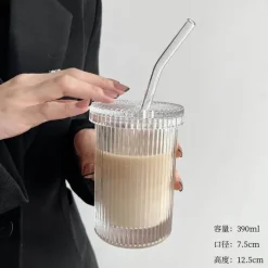 Japanisches Glasbecher-Set mit Strohhalm – Kaffee- und Teebecher mit Deckel