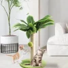 Katzenkratzbaum für den Innenbereich – Katzenkratzbaum für aktive Katzen