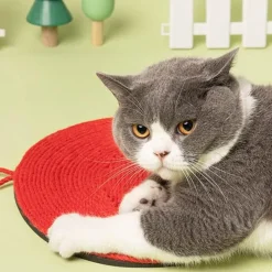 Katzenkratzbaum in Pilzform – Stilvoller Katzenkratzbaum