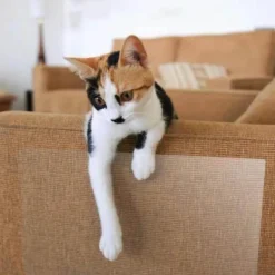 Katzenkratzmatte - Möbelschutzunterlage